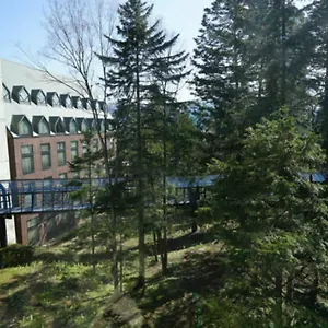 Alpha Village Tomamu 3*, 占冠村 日本