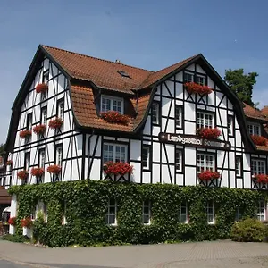 https://gasthof-sommer.com-bavaria.com
